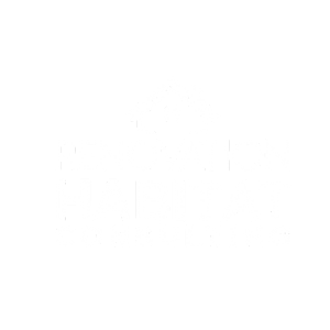 Rénovation Habitat Consulting