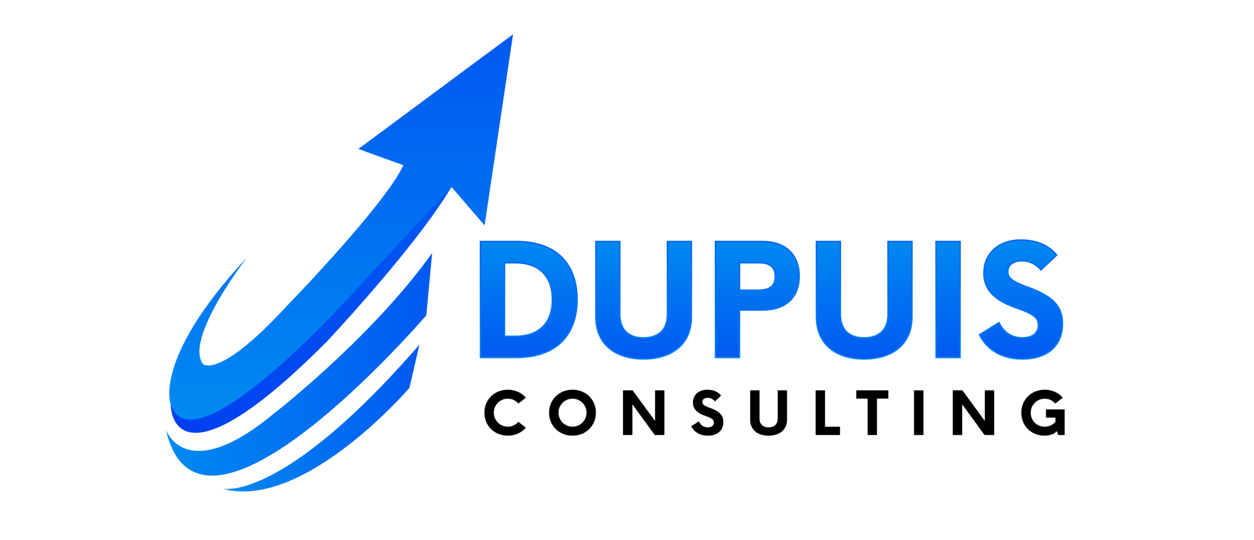 Logo Dupuis Consulting