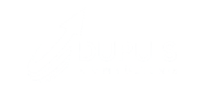 Logo officiel Dupuis Consulting