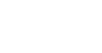 Logo officiel Dupuis Consulting
